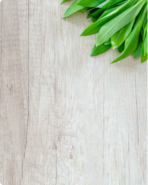 Login page illustration - tulip leaves on a wooden surface